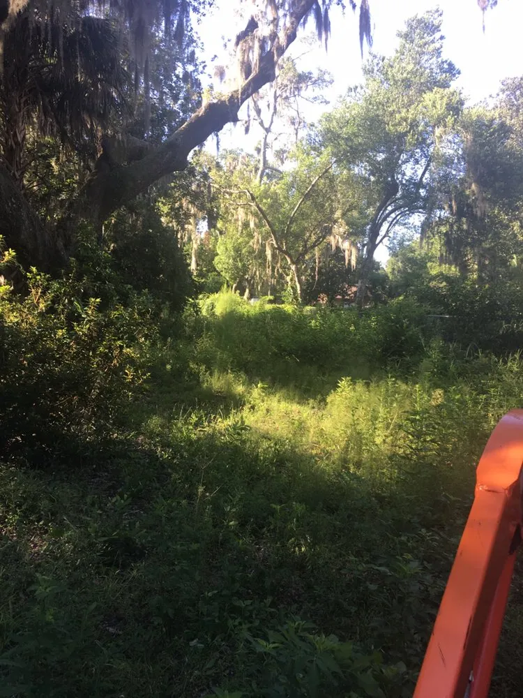 Expert lawn care service experts serving St. Augustine, FL - Kevin Greer Bush Hog Box Blade and Tractor Work