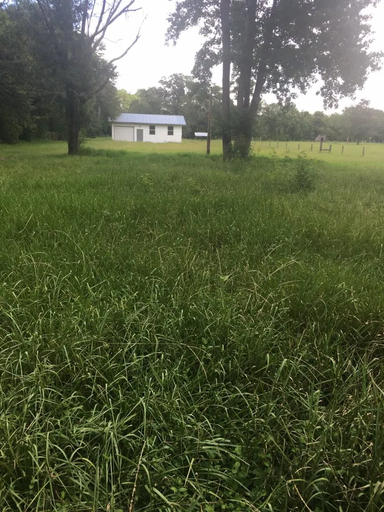 Trusted landscaping services experts serving St. Augustine, FL - Kevin Greer Bush Hog Box Blade and Tractor Work