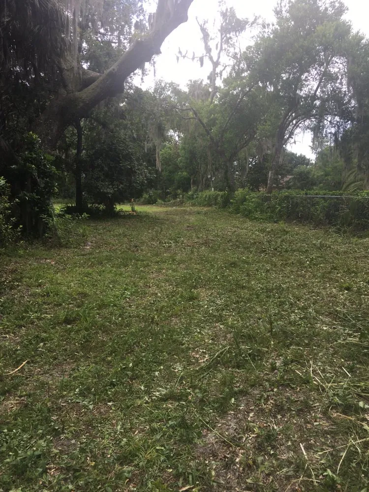 Professional yard cleanup service experts serving St. Augustine, FL - Kevin Greer Bush Hog Box Blade and Tractor Work
