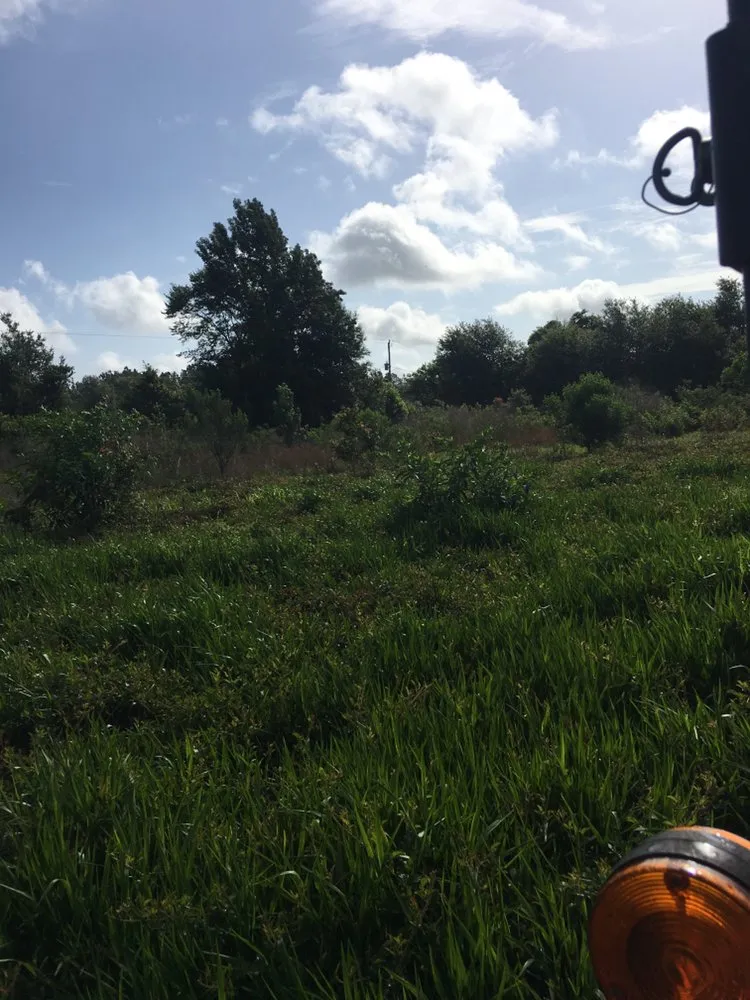 Trusted landscape design for beautiful yards across St. Augustine, FL - Kevin Greer Bush Hog Box Blade and Tractor Work