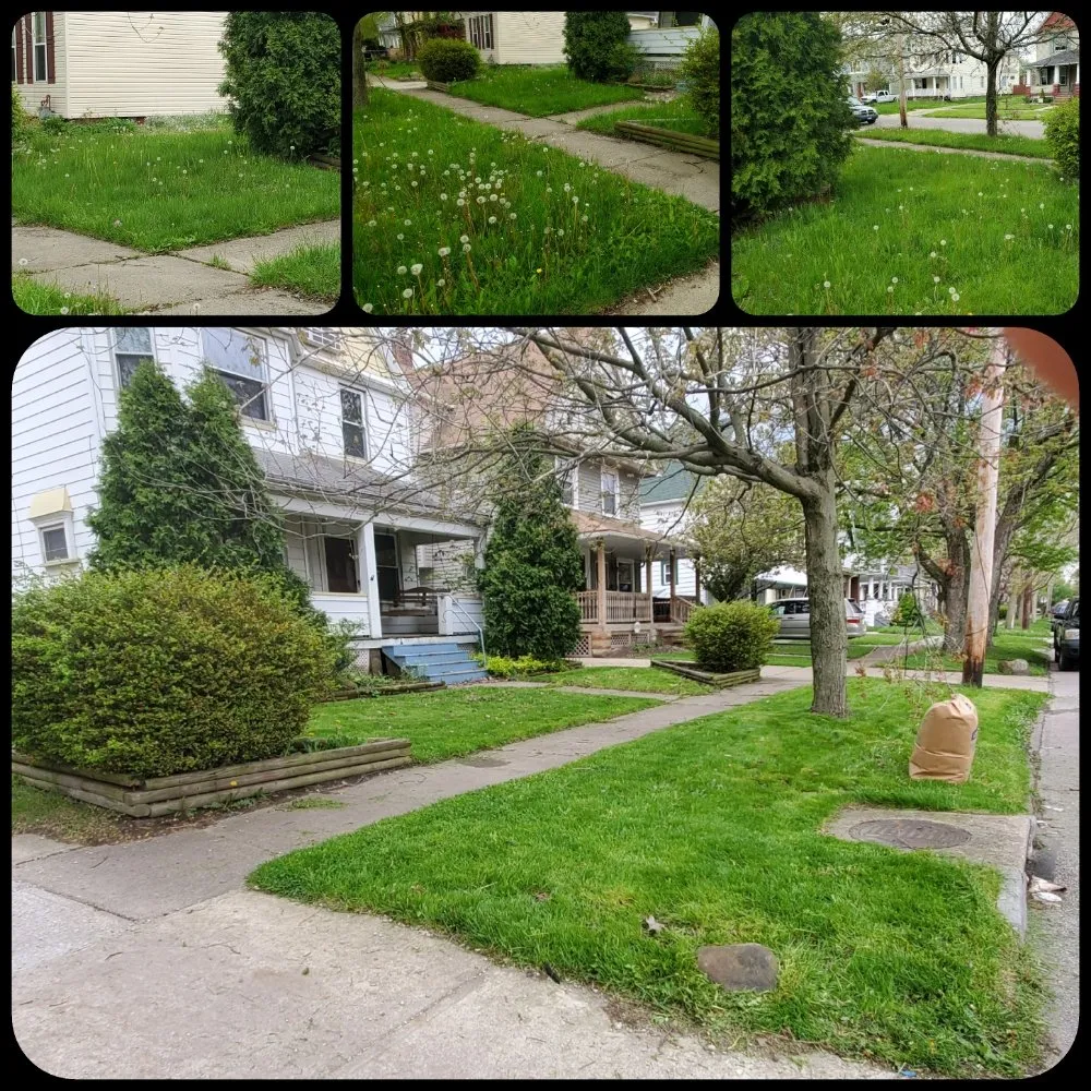 Professional landscaping services in Euclid, OH - Kevin J Services