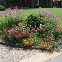 Local residential landscaping for year-round maintenance in Pineville, NC by Kevin James Landscape