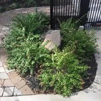 Expert landscape design in Pineville, NC - Kevin James Landscape