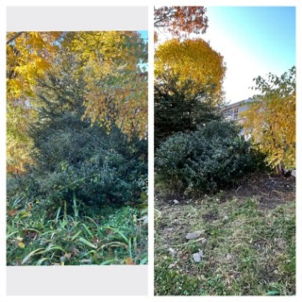 Reliable landscape design for beautiful yards across Biddeford, ME - Kevin Martin Landscaping And General Contracting