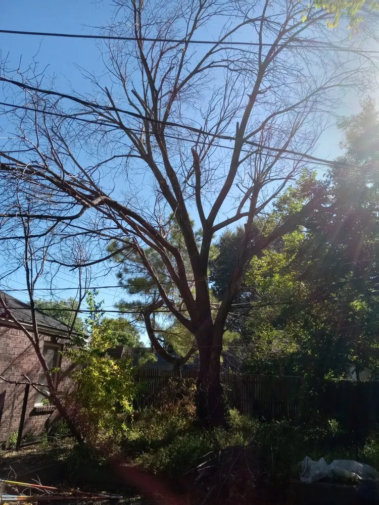 Custom residential landscaping for residential properties across Tulsa, OK - Kevin Mcastling Handybits