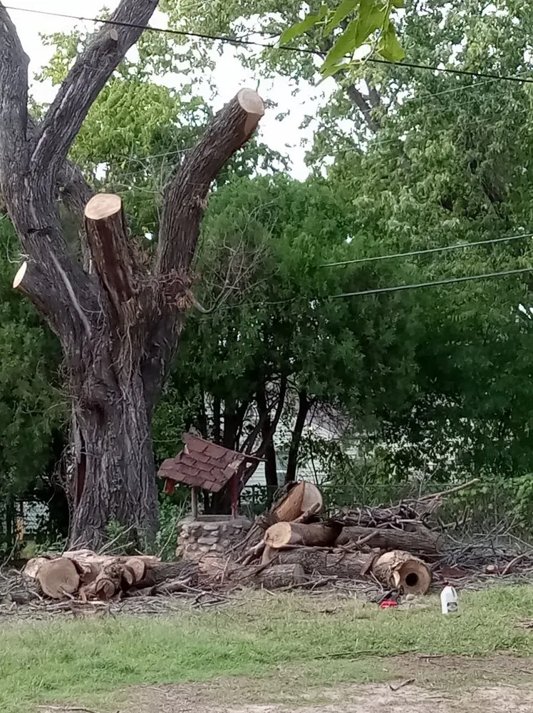 Reliable lawn care service in Tulsa, OK by Kevin Mcastling Handybits