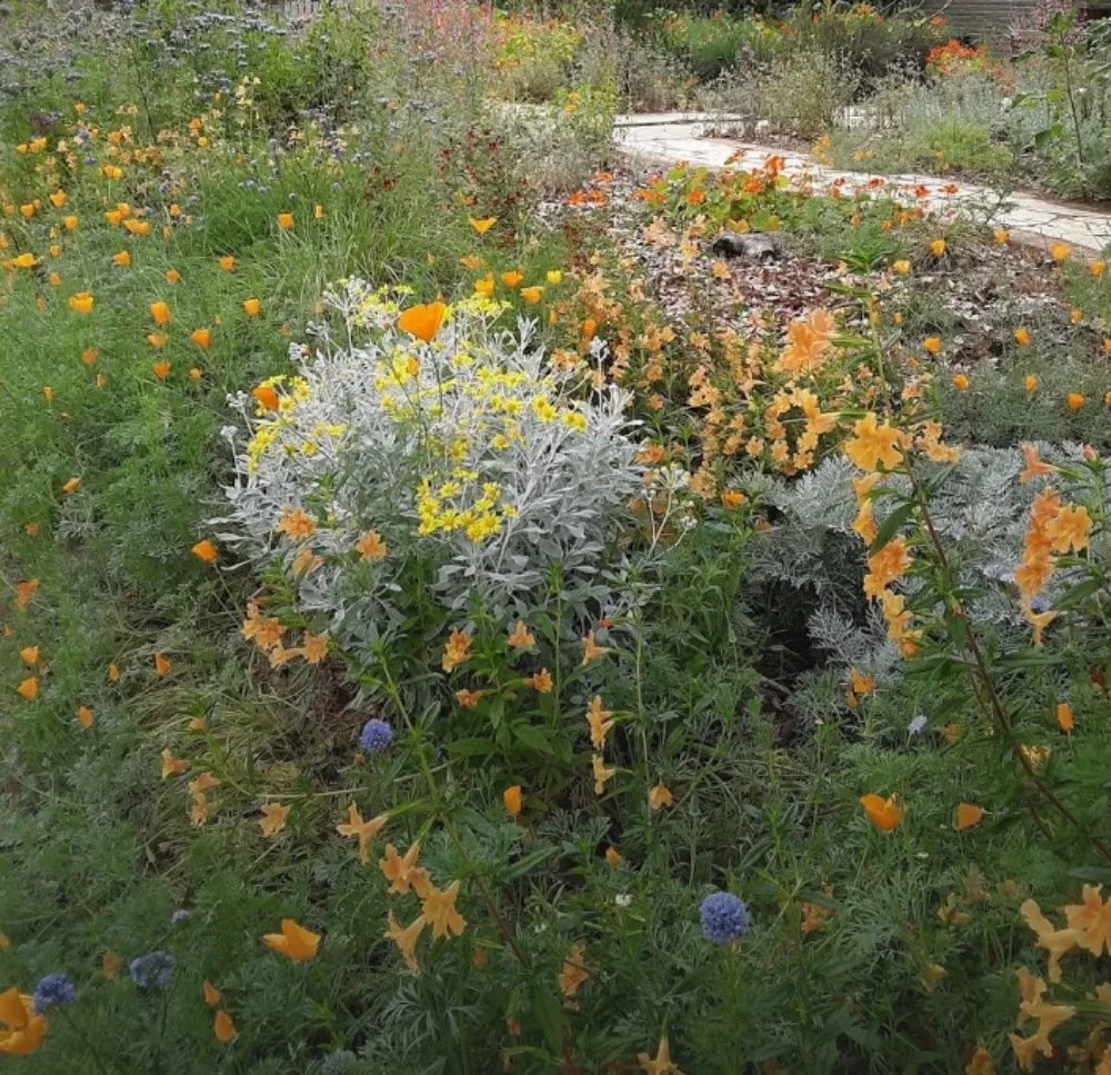 Reliable garden landscaping experts serving Rosemead, CA - Kevin Neiman's Horticultural Services