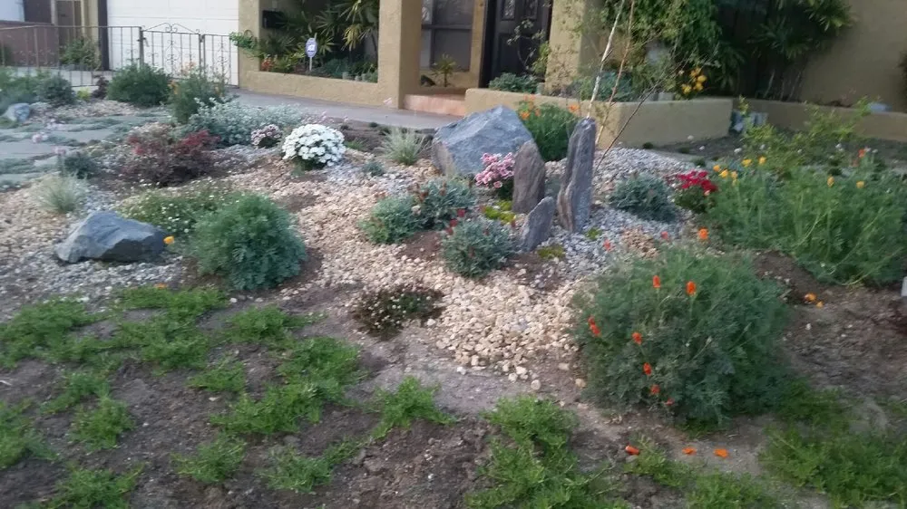 Reliable residential landscaping for year-round maintenance across Rosemead, CA - Kevin Neiman's Horticultural Services