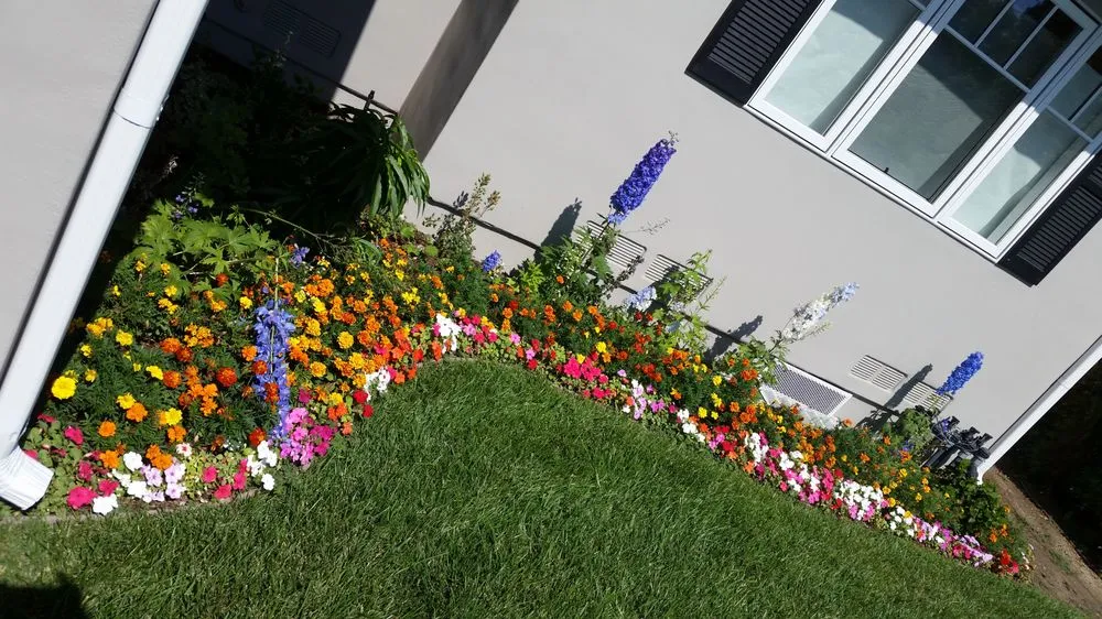 Top-rated landscape installation experts serving Rosemead, CA - Kevin Neiman's Horticultural Services