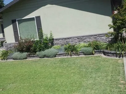 Trusted lawn care service in Rosemead, CA - Kevin Neiman's Horticultural Services
