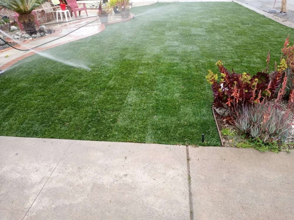 Expert landscape design experts serving Rosemead, CA - Kevin Neiman's Horticultural Services