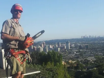 Affordable lawn care service for residential properties in Rosemead, CA by Kevin Neiman's Horticultural Services