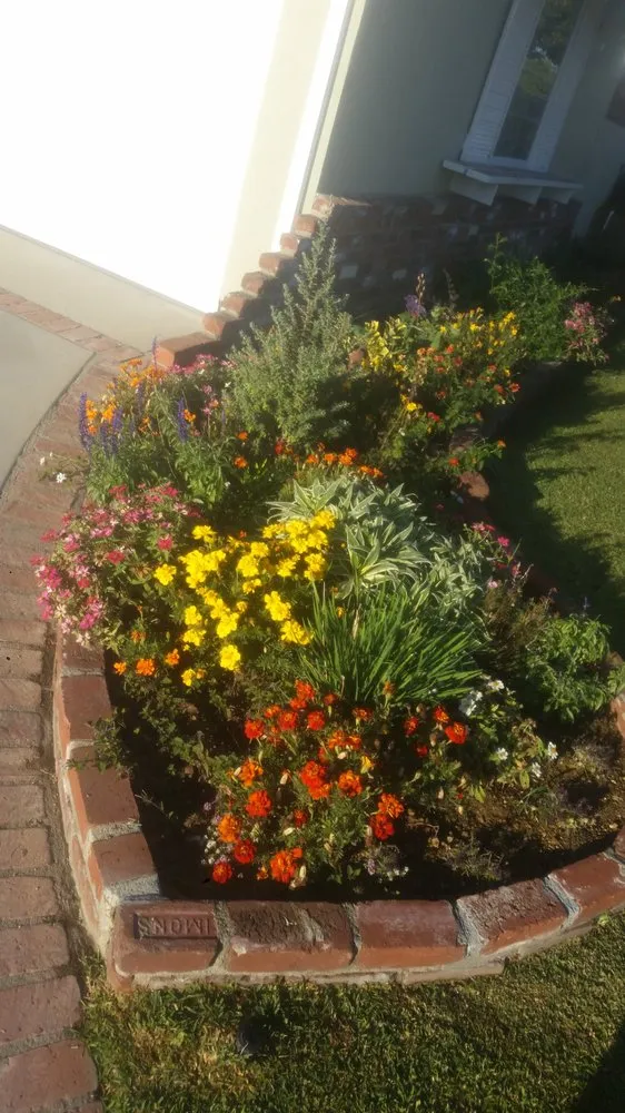 Top-rated landscape design in Rosemead, CA - Kevin Neiman's Horticultural Services