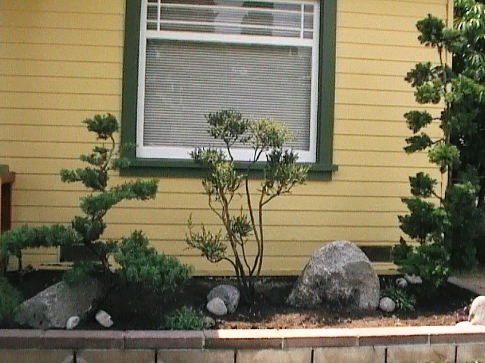 Top-rated outdoor landscaping in Rosemead, CA - Kevin Neiman's Horticultural Services