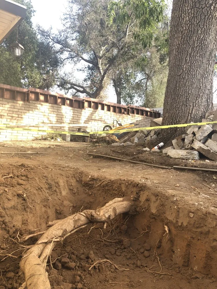 Top-rated lawn care service with custom design in Rosemead, CA by Kevin Neiman's Horticultural Services