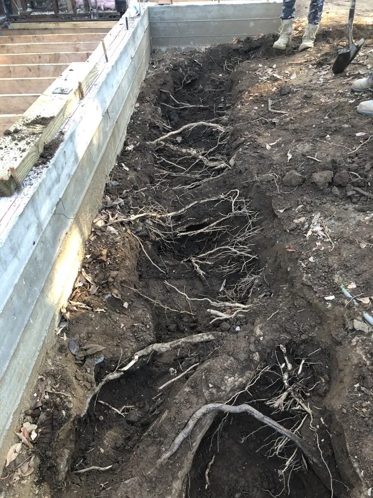 Affordable residential landscaping in Rosemead, CA by Kevin Neiman's Horticultural Services