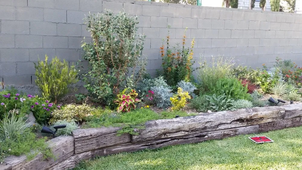 Affordable outdoor landscaping experts serving Rosemead, CA - Kevin Neiman's Horticultural Services