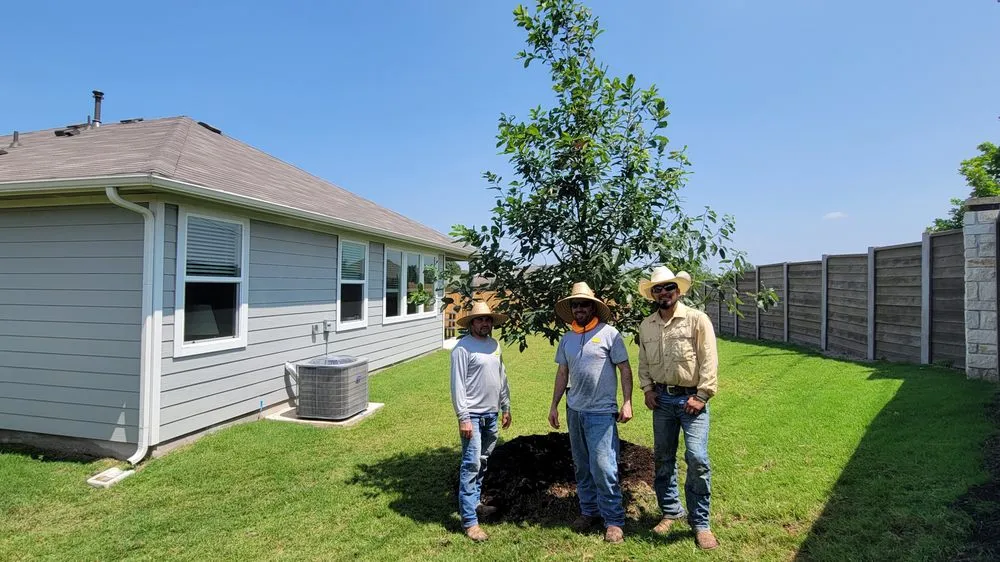 Professional outdoor landscaping in Austin, TX - Kevin Wood Landscapes