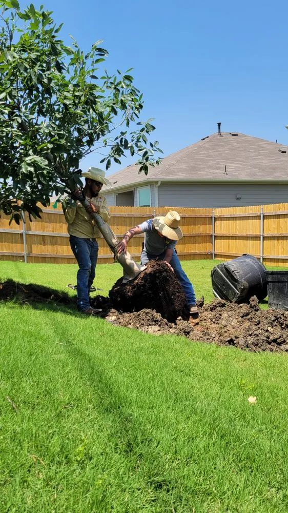 Reliable residential landscaping with custom design in Austin, TX by Kevin Wood Landscapes