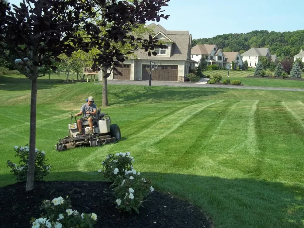 Professional yard cleanup service in Fraziers Bottom, WV by Kevin's Christ Honoring Contracted Services