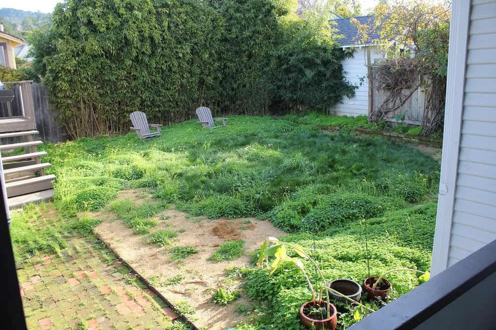 Local yard cleanup service for beautiful yards across Oakland, CA - Kevin's Gardening Service