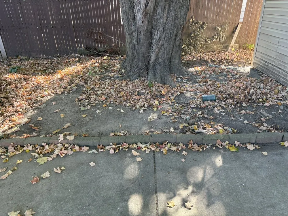 Trusted landscaping services in Indianapolis, IN by Kevin’s Gutter Cleaning Service