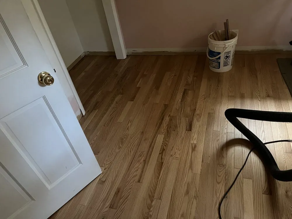 Professional yard cleanup service in Pleasant View, TN by Kevin's Handyman Services