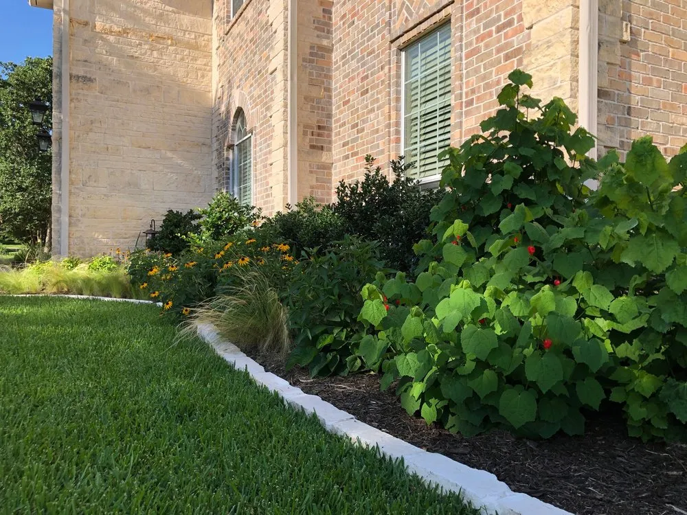 Local outdoor landscaping for year-round maintenance in College Station, TX by Kevin's Landscapes