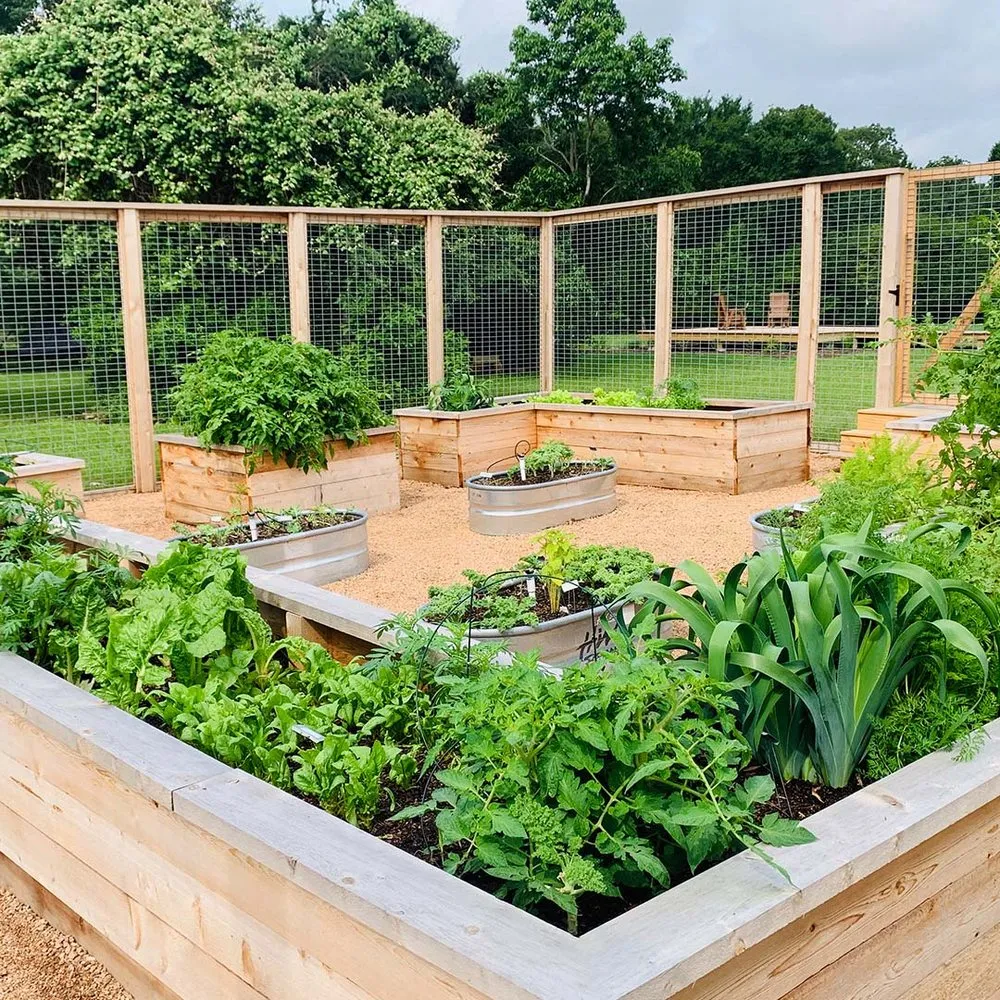 Local yard cleanup service experts serving College Station, TX - Kevin's Landscapes