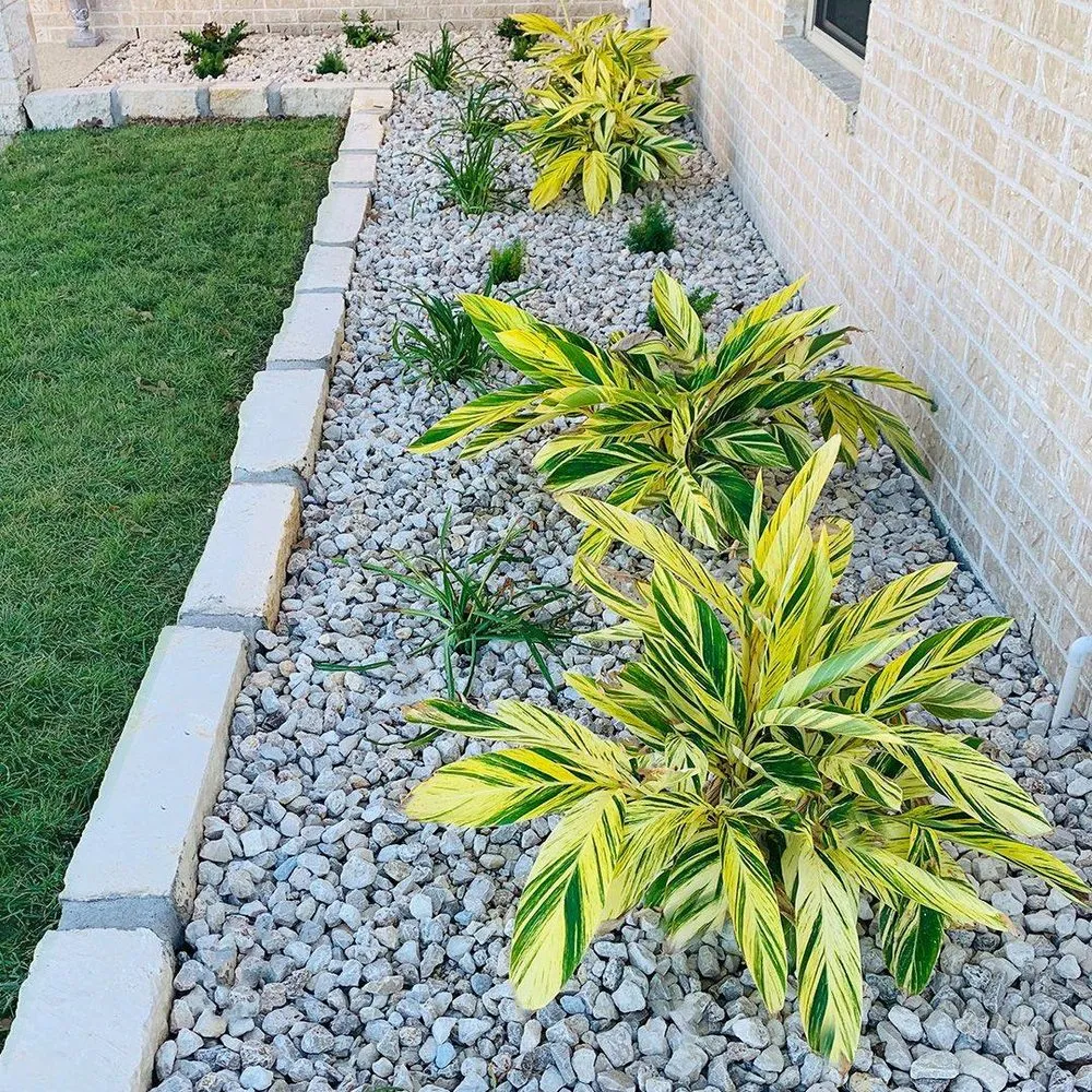 Top-rated lawn care service for outdoor upgrades across College Station, TX - Kevin's Landscapes