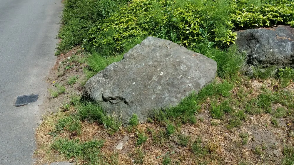 Trusted lawn mowing service with custom design across Pacific, WA - Kevin's Landscaping & Maintenance