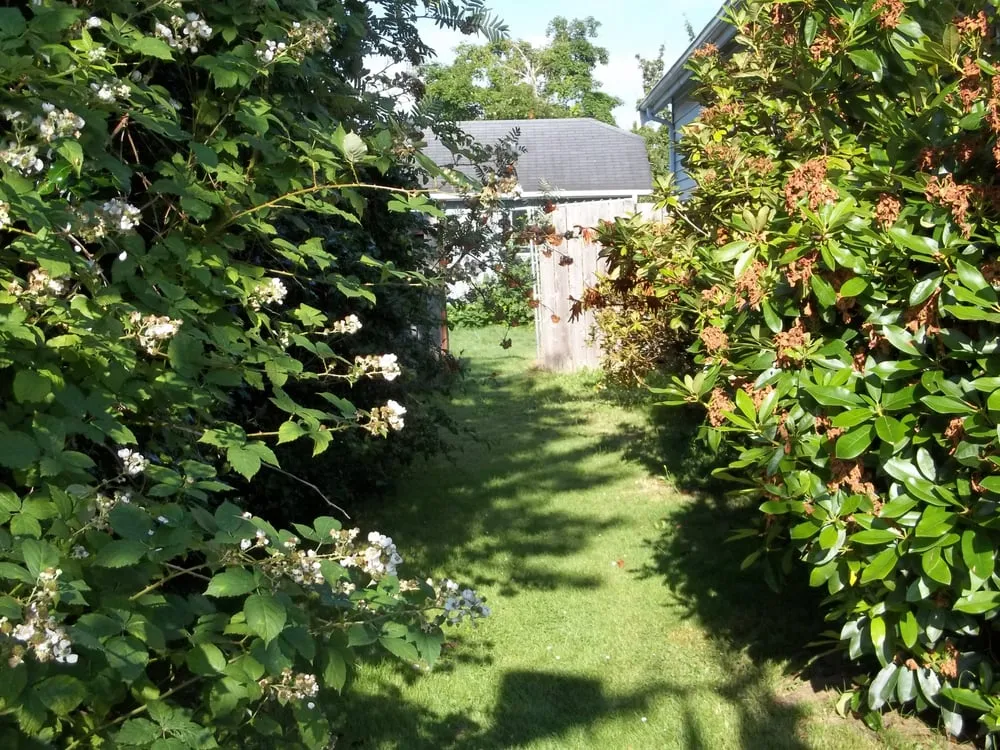 Reliable outdoor landscaping in Pacific, WA by Kevin's Landscaping & Maintenance