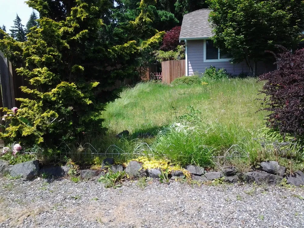 Local lawn care service in Pacific, WA by Kevin's Landscaping & Maintenance