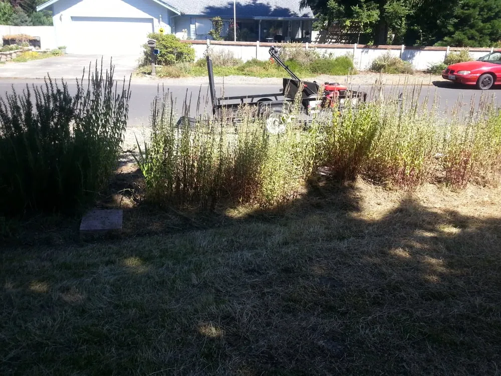 Custom yard cleanup service in Pacific, WA - Kevin's Landscaping & Maintenance