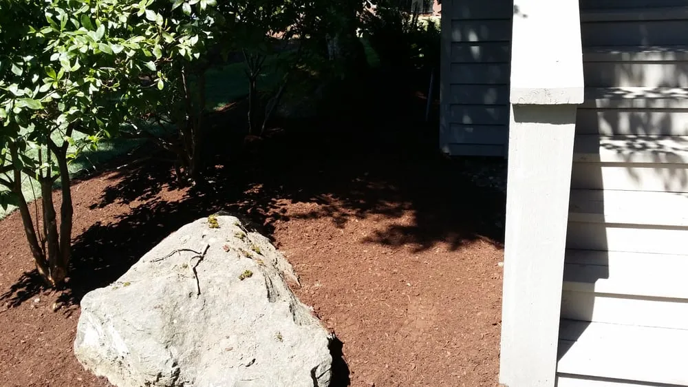 Local landscaping services in Pacific, WA by Kevin's Landscaping & Maintenance