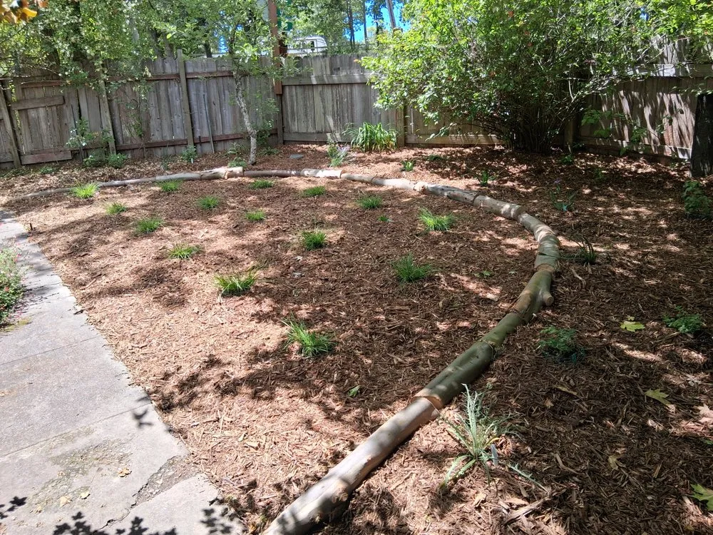 Reliable yard maintenance for residential properties across Occidental, CA - Kevin's Landscaping