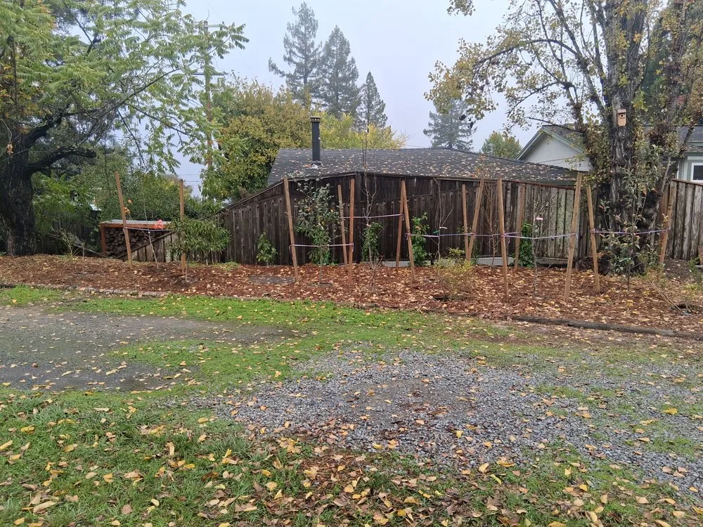 Affordable landscape installation with custom design in Occidental, CA by Kevin's Landscaping