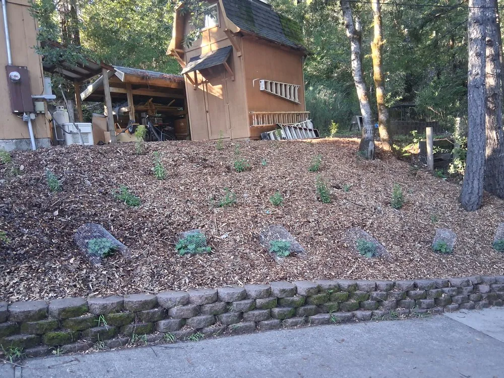 Professional yard cleanup service in Occidental, CA - Kevin's Landscaping