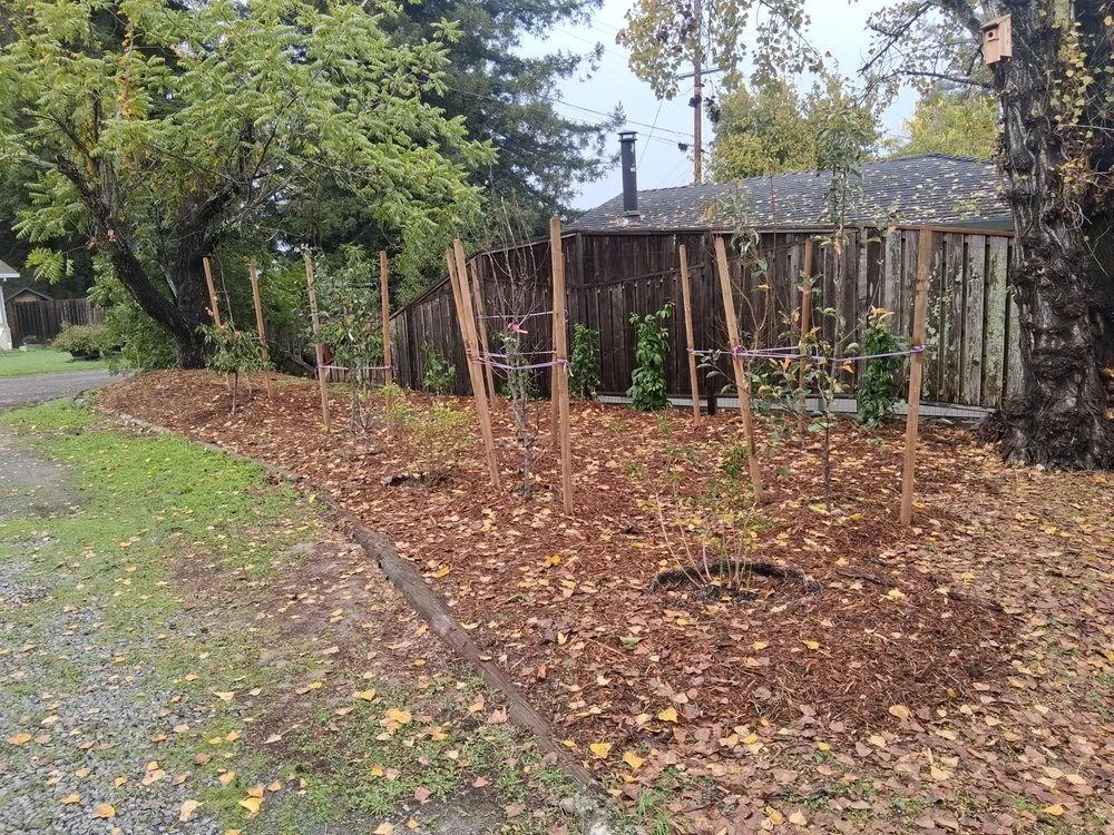 Top-rated lawn mowing service in Occidental, CA by Kevin's Landscaping