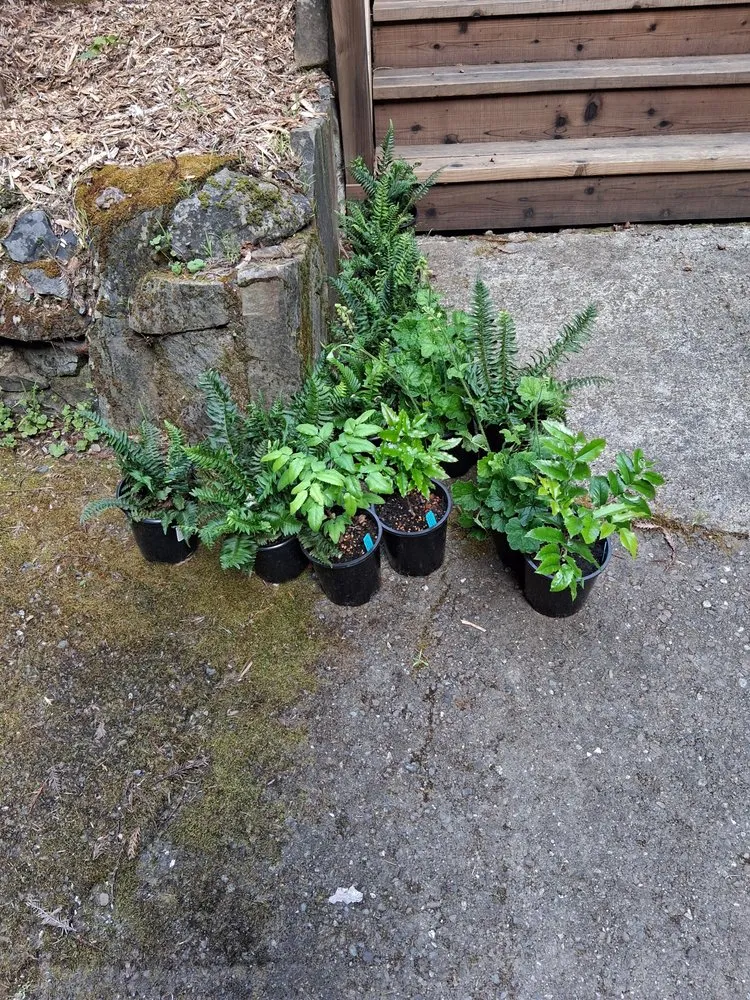 Trusted outdoor landscaping for residential properties in Occidental, CA by Kevin's Landscaping