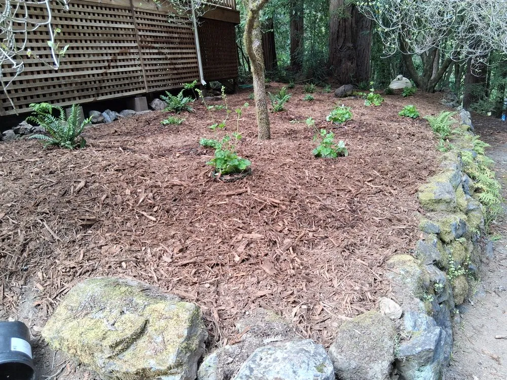 Affordable lawn care service near you across Occidental, CA - Kevin's Landscaping