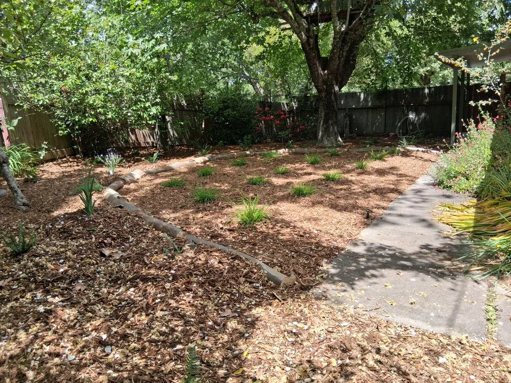 Affordable lawn care service experts serving Occidental, CA - Kevin's Landscaping