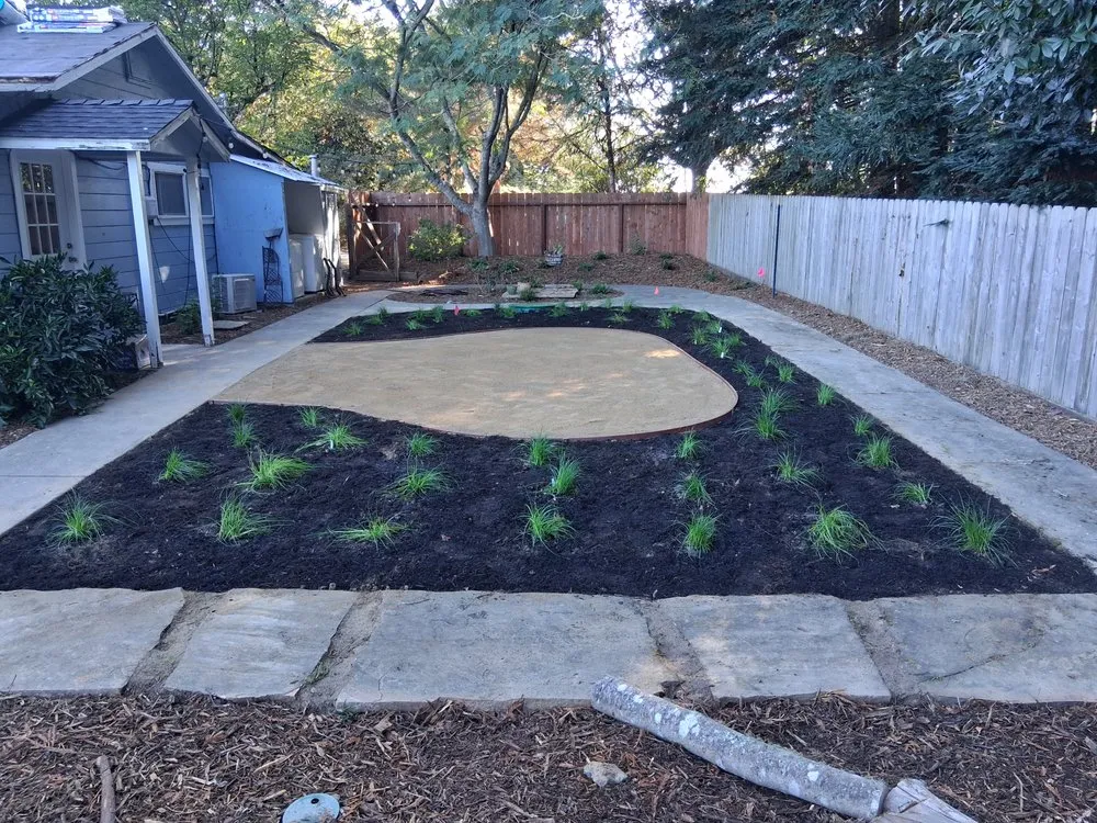 Affordable yard cleanup service for year-round maintenance across Occidental, CA - Kevin's Landscaping