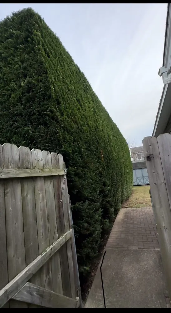 Local lawn care service in Copiague, NY by Kevin's Landscaping Services