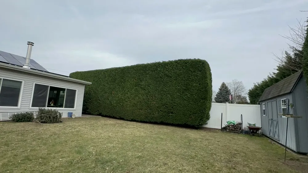 Expert garden landscaping for year-round maintenance across Copiague, NY - Kevin's Landscaping Services