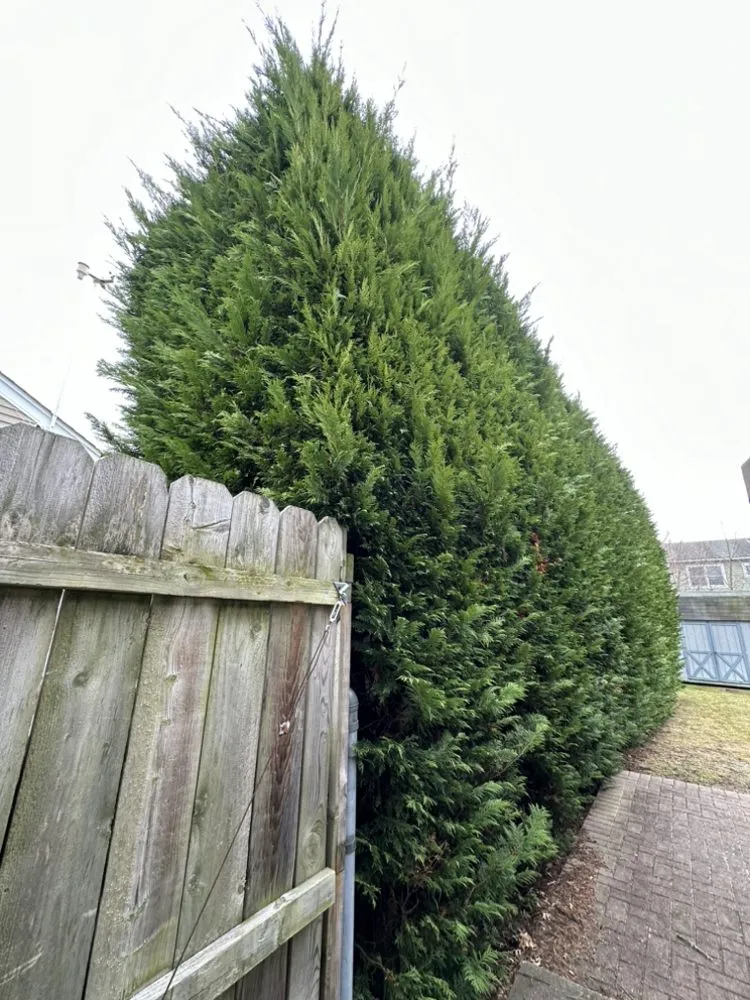 Local outdoor landscaping in Copiague, NY - Kevin's Landscaping Services