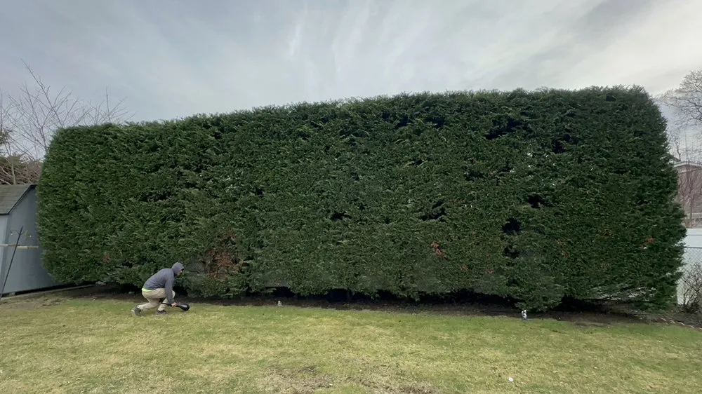 Custom yard maintenance in Copiague, NY - Kevin's Landscaping Services