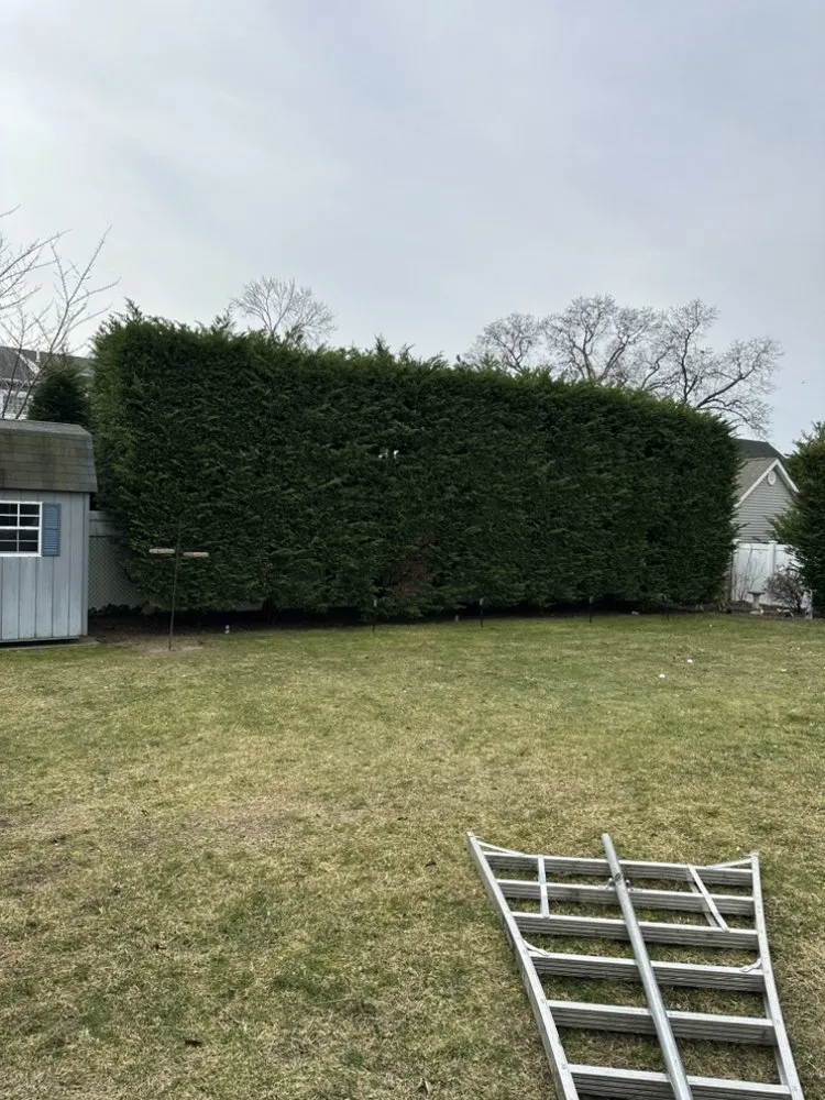 Custom lawn care service in Copiague, NY - Kevin's Landscaping Services