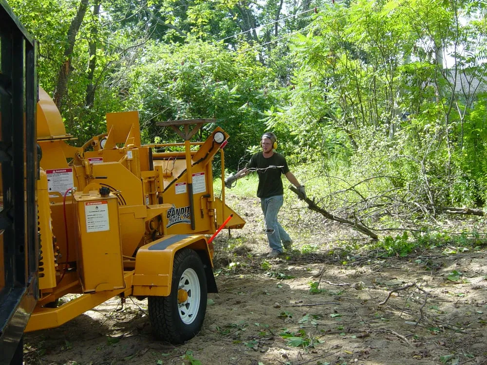 Top-rated yard cleanup service for residential properties across Acton, MA - Kevin's Lawn & Plowing Service