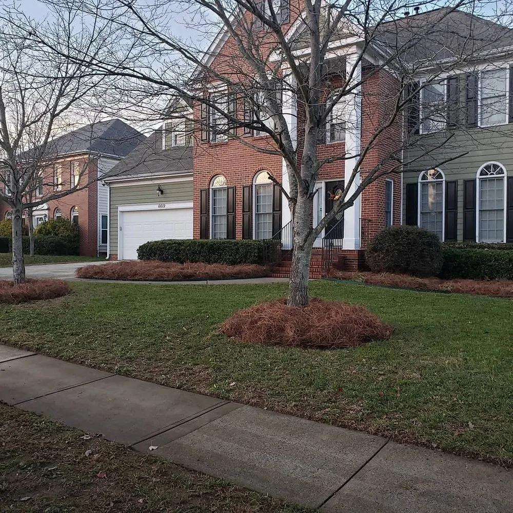 Reliable yard cleanup service experts serving Concord, NC - Kevins Lawn Care